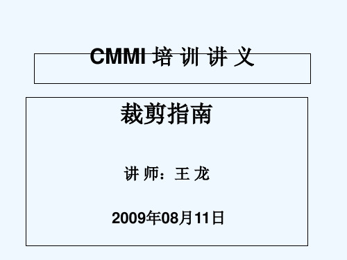 CMMI培训讲义(裁剪指南) PPT