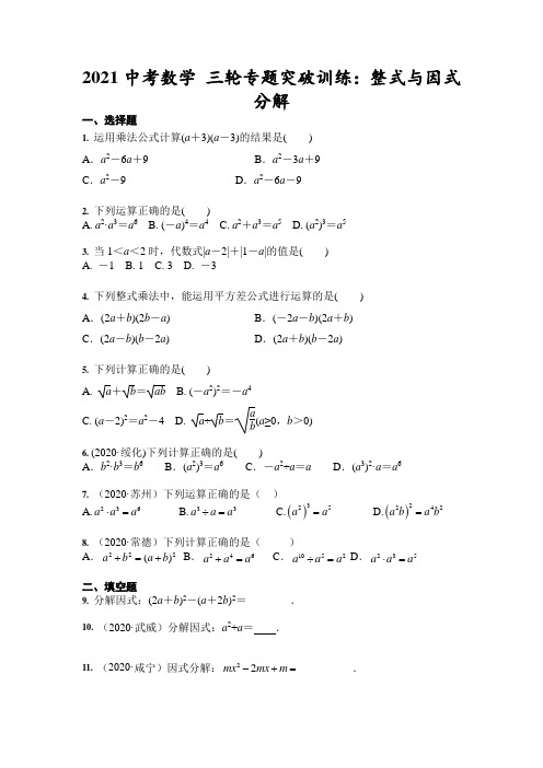 2021年九年级中考数学 三轮专题突破训练：整式与因式分解 