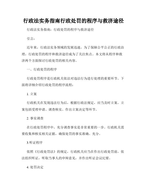 行政法实务指南行政处罚的程序与救济途径