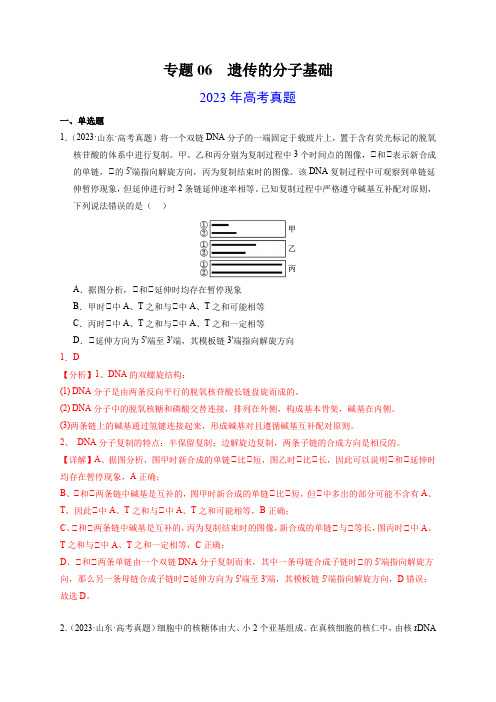 专题06遗传的分子基础-2023年高考真题和模拟题生物分项汇编(全国通用)(解析版)