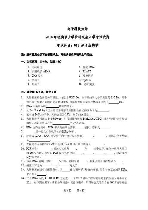 2016年电子科技大学613分子生物学真题