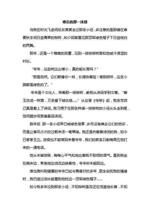 难忘的那一抹绿作文600字在乡下