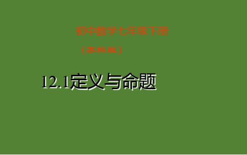 秋苏科版七年级下册12.1定义与命题课件(共12张PPT)