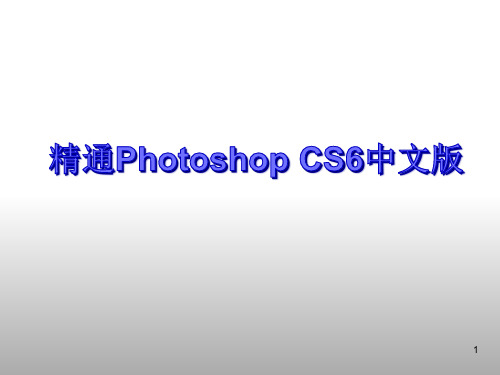 精通Photoshop CS6中文版 第9章