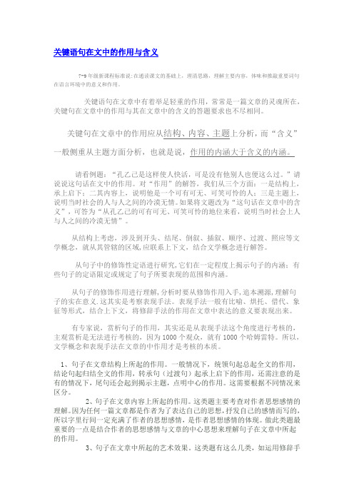 关键语句在文中的作用与含义