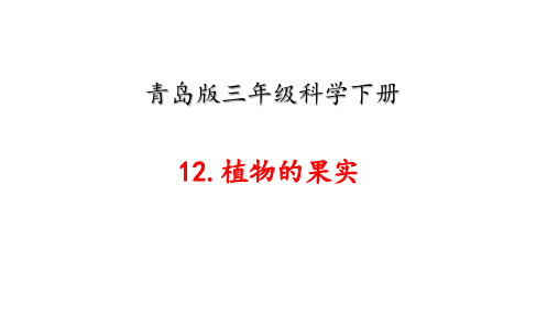 青岛版三年级科学下册12《植物的果实》