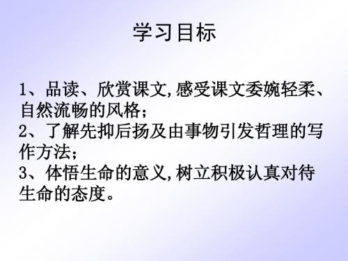 语文七年级上册《短文两篇》优秀课件：45页