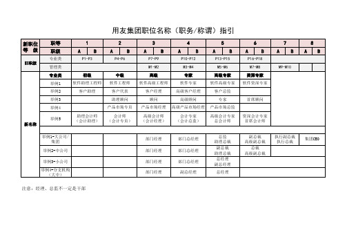 人力资源  用友员工职位职级体系表(V1