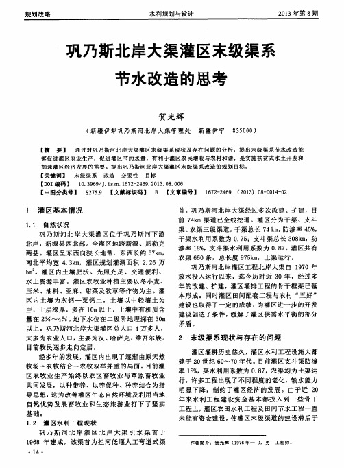 巩乃斯北岸大渠灌区末级渠系节水改造的思考