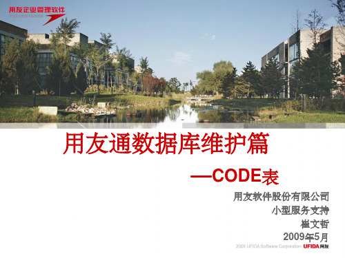 用友通数据库维护-CODE表