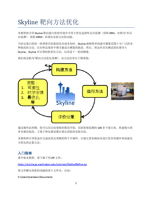 Skyline 靶向方法优化