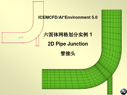 ICEM_CFD_基础教程_C2-实例-2DPipeJunction