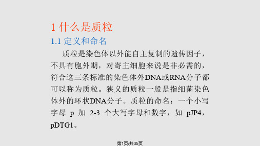 质粒分子生物学与质粒技术PPT课件