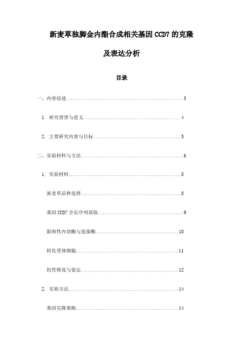 新麦草独脚金内酯合成相关基因CCD7的克隆及表达分析