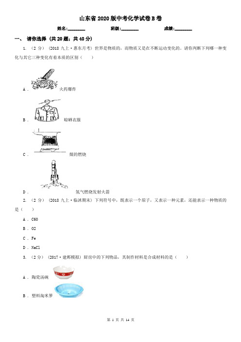 山东省2020版中考化学试卷B卷(精编)