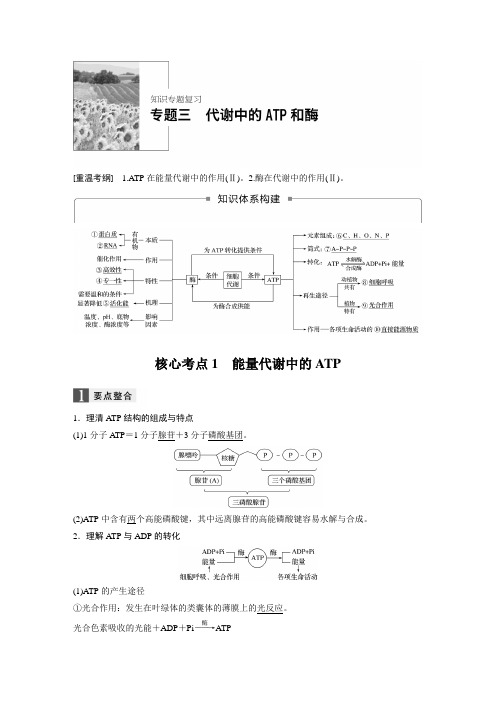 专题三能量代谢中的ATP