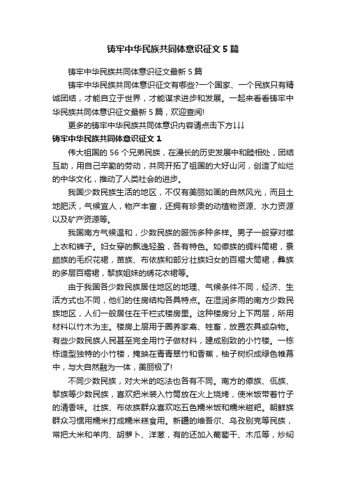 铸牢中华民族共同体意识征文5篇