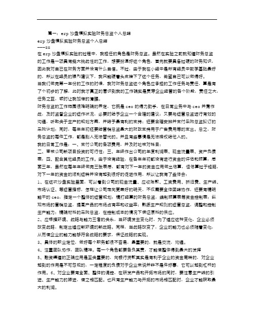 沙盘模拟财务总监工作总结