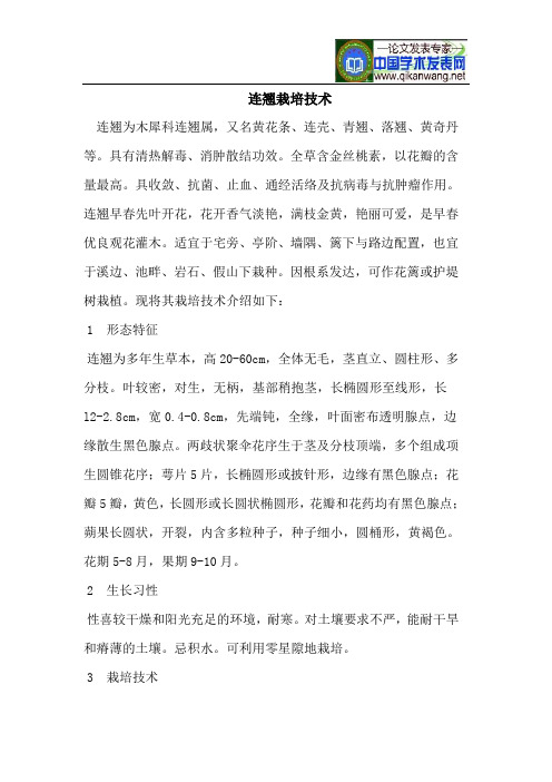 连翘栽培技术