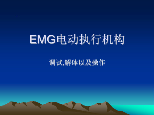 EMG电动执行机构