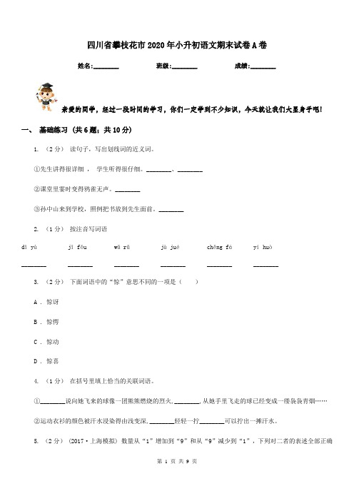 四川省攀枝花市2020年小升初语文期末试卷A卷