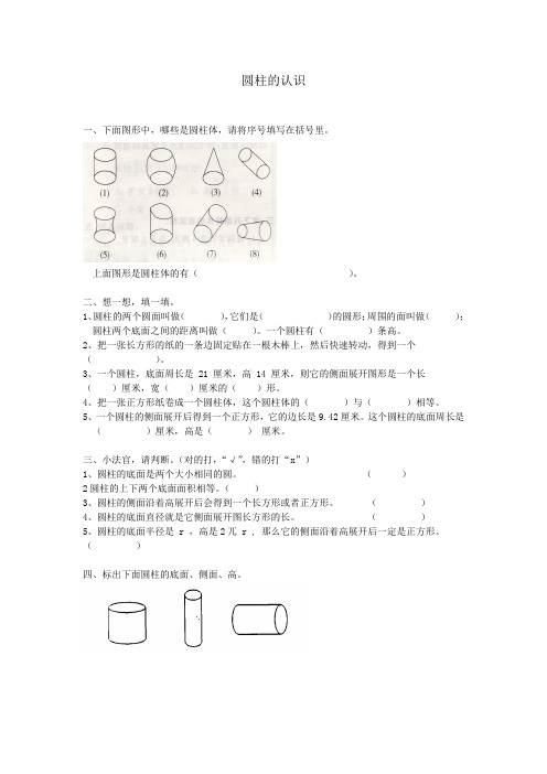 圆柱的认识、表面积