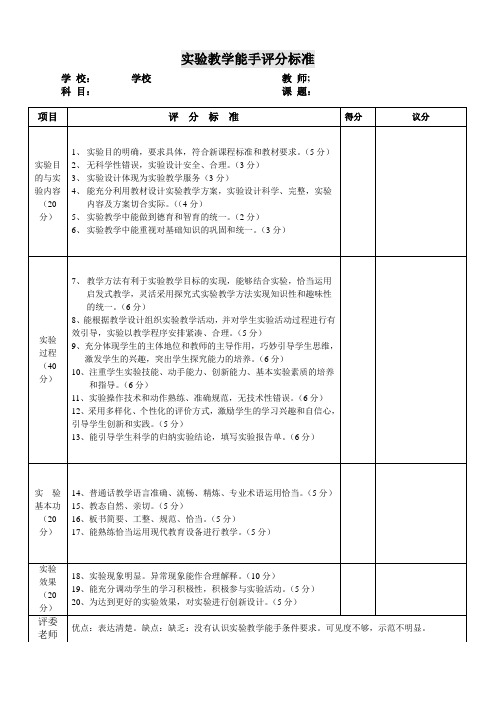 实验教学能手评分标准