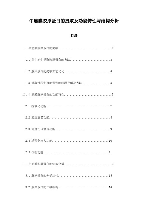 牛筋膜胶原蛋白的提取及功能特性与结构分析