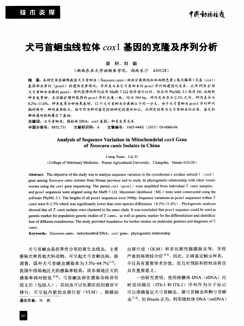 犬弓首蛔虫线粒体cox1基因的克隆及序列分析