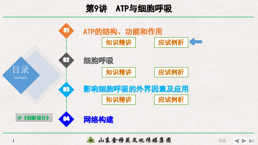 第9讲 ATP与细胞呼吸