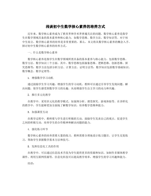 浅谈初中生数学核心素养的培养方式