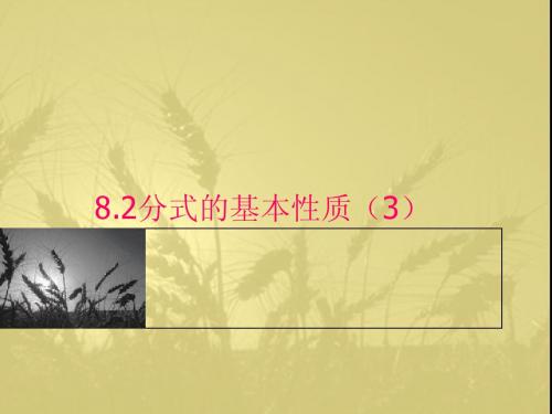 8.2分式的基本性质(3)