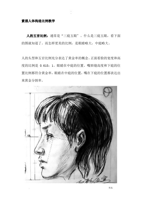 素描人体结构比例教学