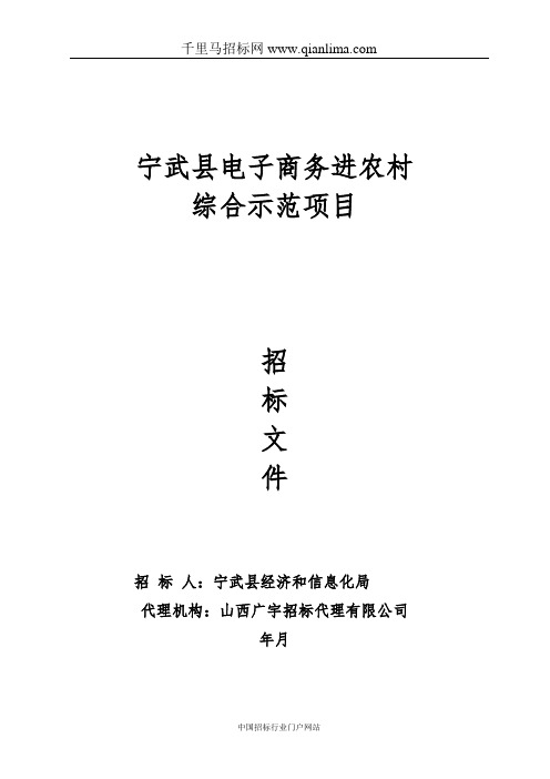 经济和信息化局电子商务进农村综合示范项目招投标书范本