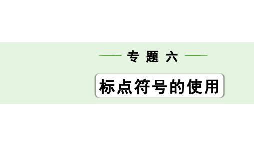 最新中考语文复习专题六 标点符号的使用