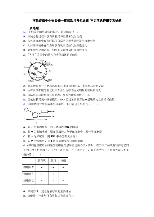 南昌市高中生物必修一第三次月考多选题 不定项选择题专项试题