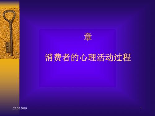 消费者的心理活动过程(PPT 64张)