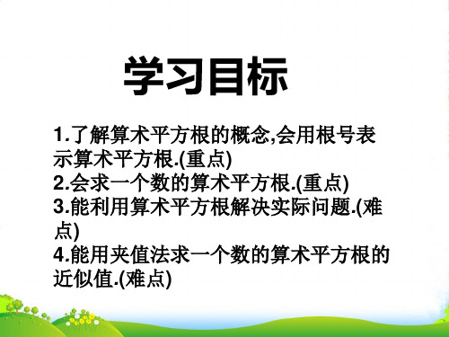 人教版七年级数学下册第六章《算术平方根》公开课课件 (4)