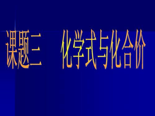 5.2 化学式和化合价 课件 (人教版八年级全册)1