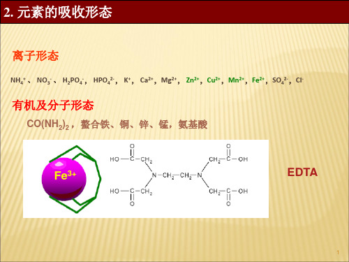 植物对氮磷钾的吸收