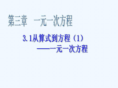 初一数学《从算式到方程(1)——一元一次方程》PPT课件