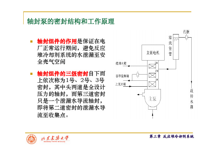 3 核岛主要系统——反应堆冷却剂系统(2)