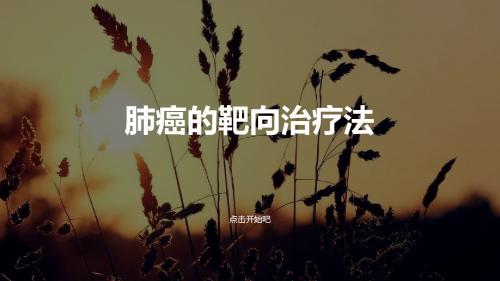 肺癌的靶向治疗法-PPT课件