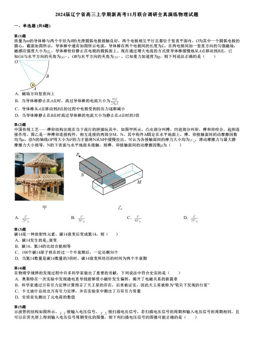 2024届辽宁省高三上学期新高考11月联合调研全真演练物理试题