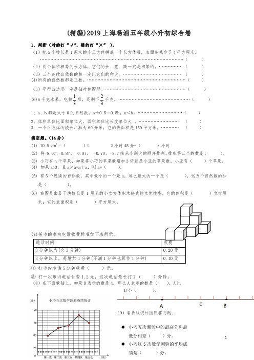 (精编)2019上海杨浦五年级小升初综合卷