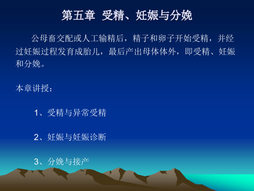 畜禽繁殖技术 第五章  受精、妊娠