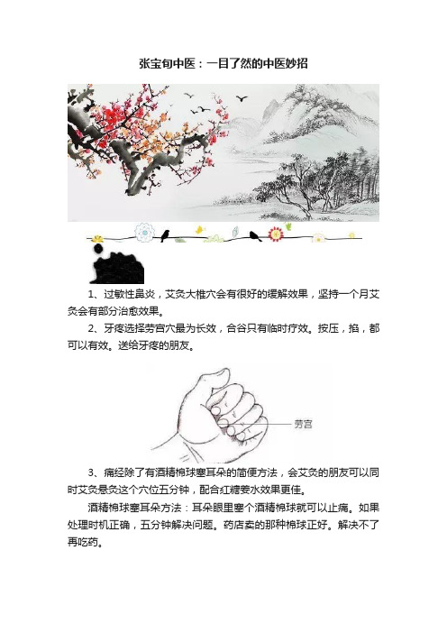 张宝旬中医：一目了然的中医妙招