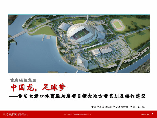 重庆_重庆大渡口体育运动城项目概念性方案