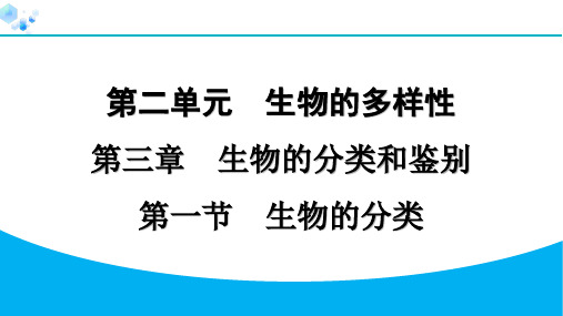 七年级上册生物冀少版【习题课件】2.3.1 生物的分类