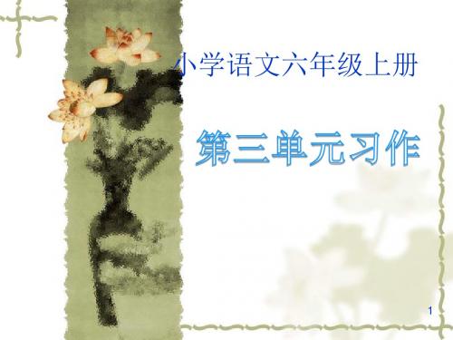 __关爱 __习作指导课件
